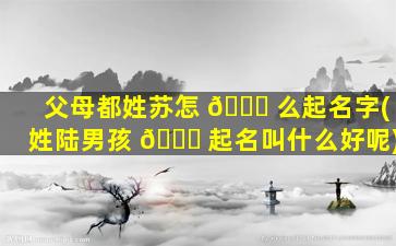 父母都姓苏怎 🐕 么起名字(姓陆男孩 🍀 起名叫什么好呢)